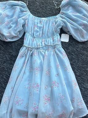Altar'd State Light Blue Floral Puff-Sleeve Mini Dress